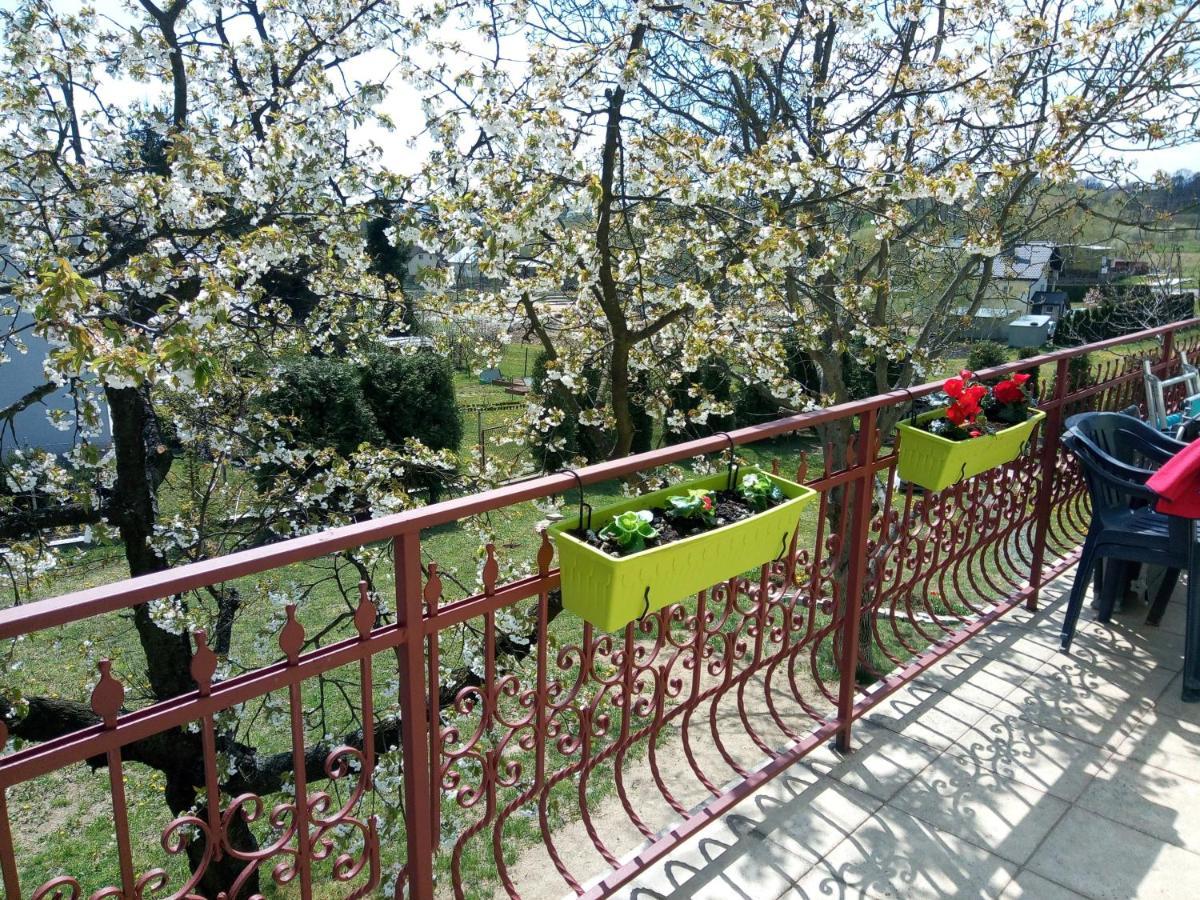 Homestay Strozowka Gorlice Exteriér fotografie